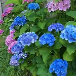 Le Petit Moulin Bed & Breakfast Saint-Hilaire (Allier)