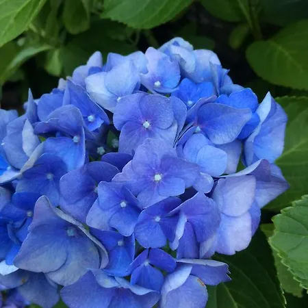 Le Petit Moulin Bed & Breakfast Saint-Hilaire (Allier)