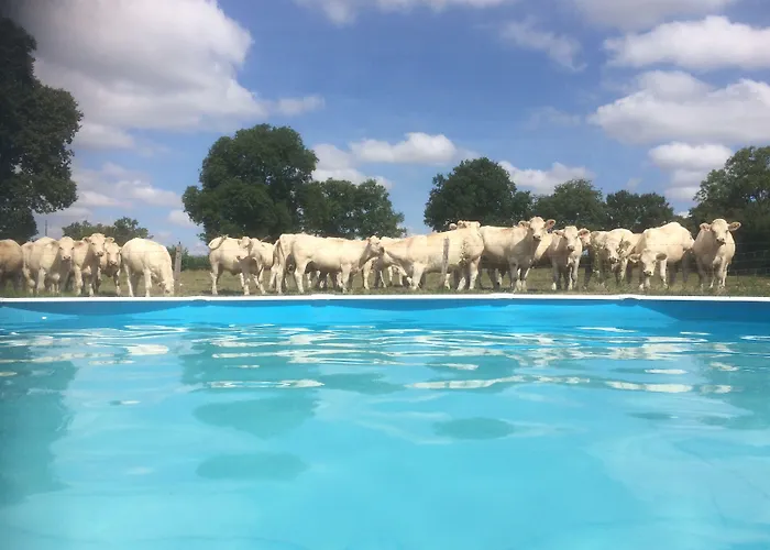 Le Petit Moulin 3* Saint-Hilaire (Allier)