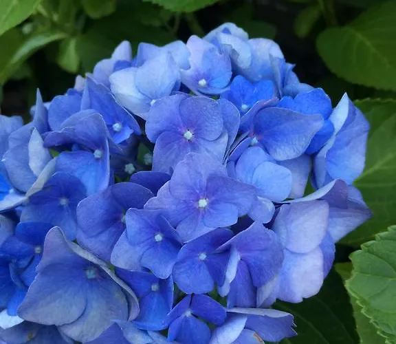 Le Petit Moulin Bed & Breakfast Saint-Hilaire (Allier)